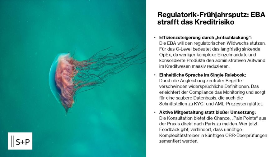 &bdquo;EBA Credit Risk Consultation 2026: Eine Vereinfachung oder die n&auml;chste Komplexit&auml;tsstufe, die es zu bewerkstelligen gilt?&ldquo;