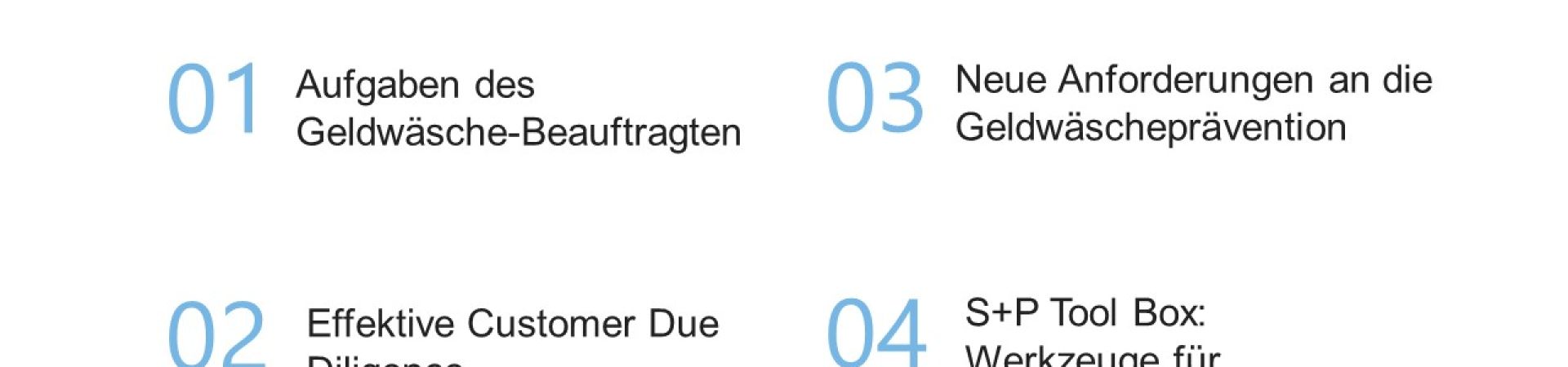 Online Schulung Geldw&auml;sche: Basis-Seminar von S+P