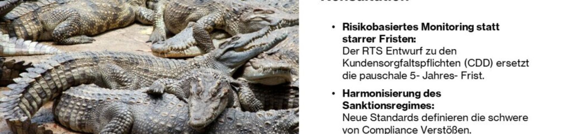 AMLA prescht vor: Neue EU- Staqndards f&uuml;r Kundensorgfaltspflichten (CDD) und Bu&szlig;gelder in der Konsultation