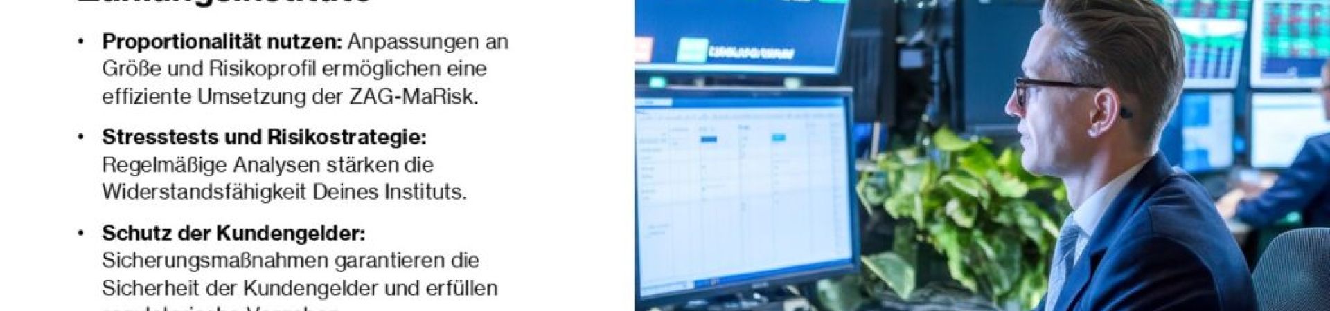 ZAG-MaRisk leicht gemacht: Ein praxisnaher Leitfaden für Zahlungsinstitute mit dem S+P Compliance Advisor