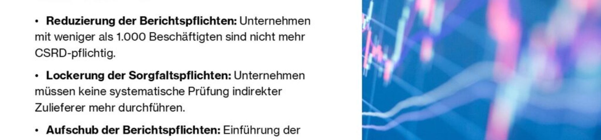 Omnibus-Paket 2025