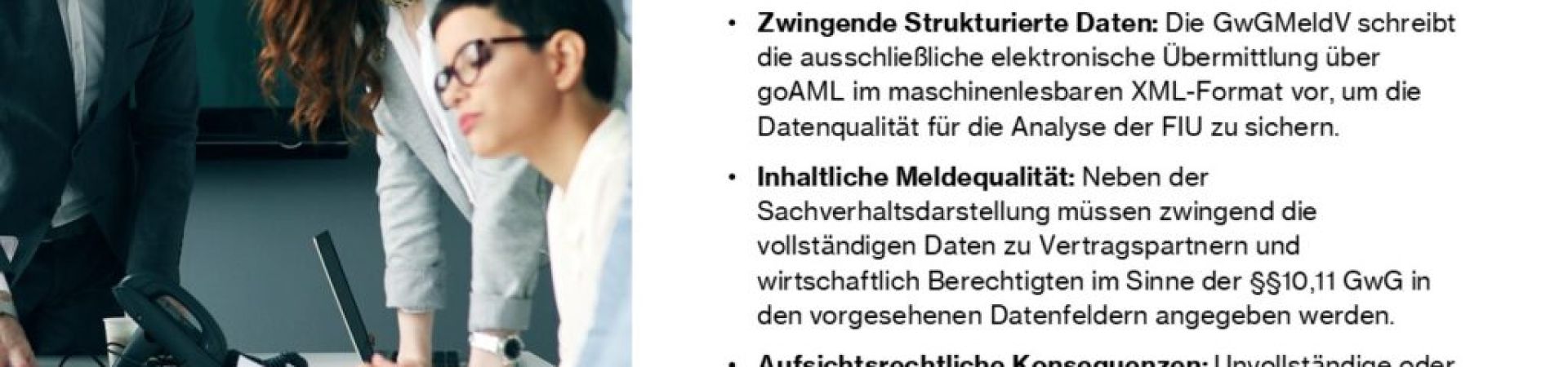 GwG-Meldeverordnung (GwGMeldV)