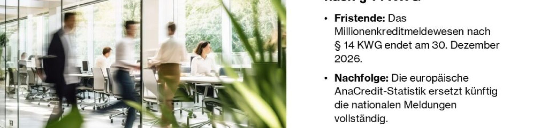 Einstellung des Millionenkreditmeldewesens