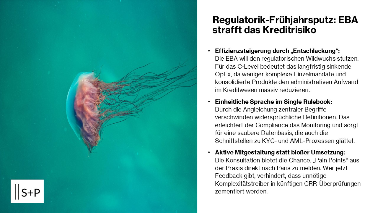 &bdquo;EBA Credit Risk Consultation 2026: Eine Vereinfachung oder die n&auml;chste Komplexit&auml;tsstufe, die es zu bewerkstelligen gilt?&ldquo;