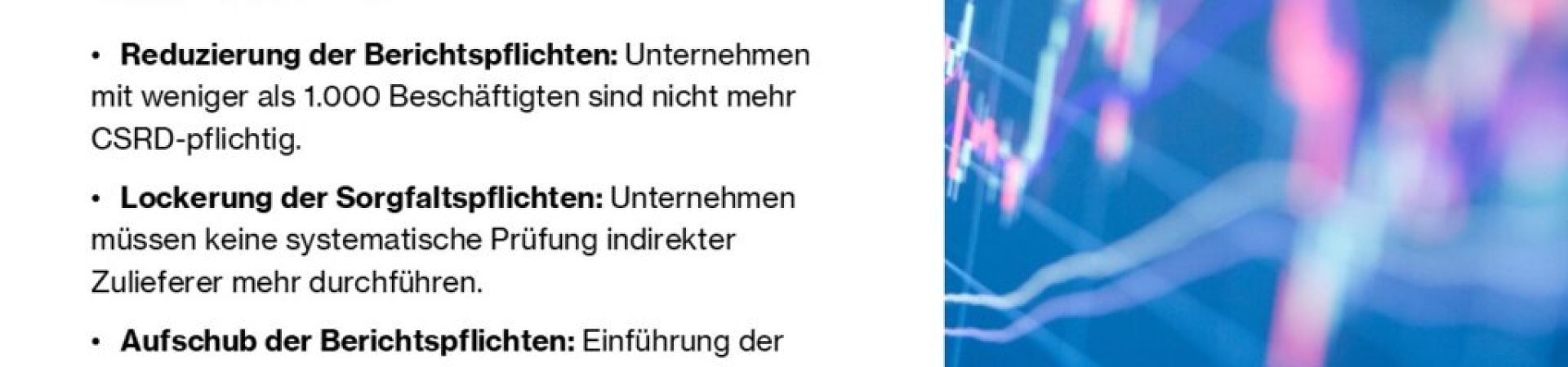 Omnibus-Paket 2025