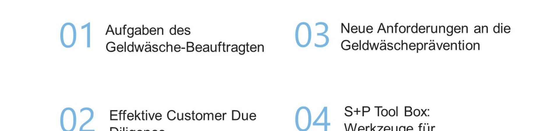 Online Schulung Geldwäsche: Basis-Seminar von S+P